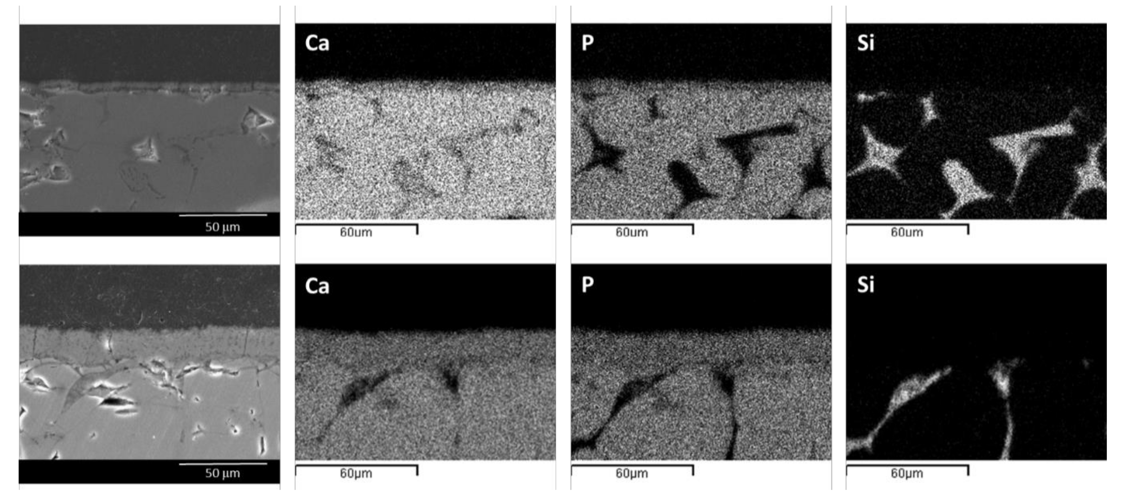 Symmetry 11 00355 g008