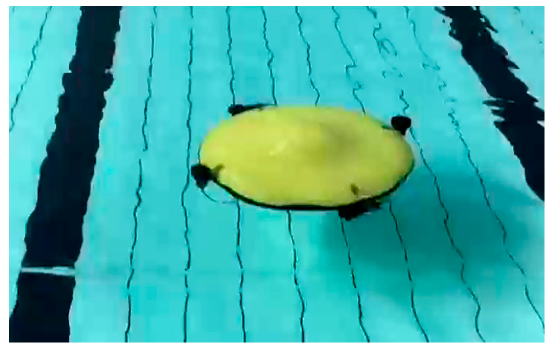 Symmetry 11 00397 g002