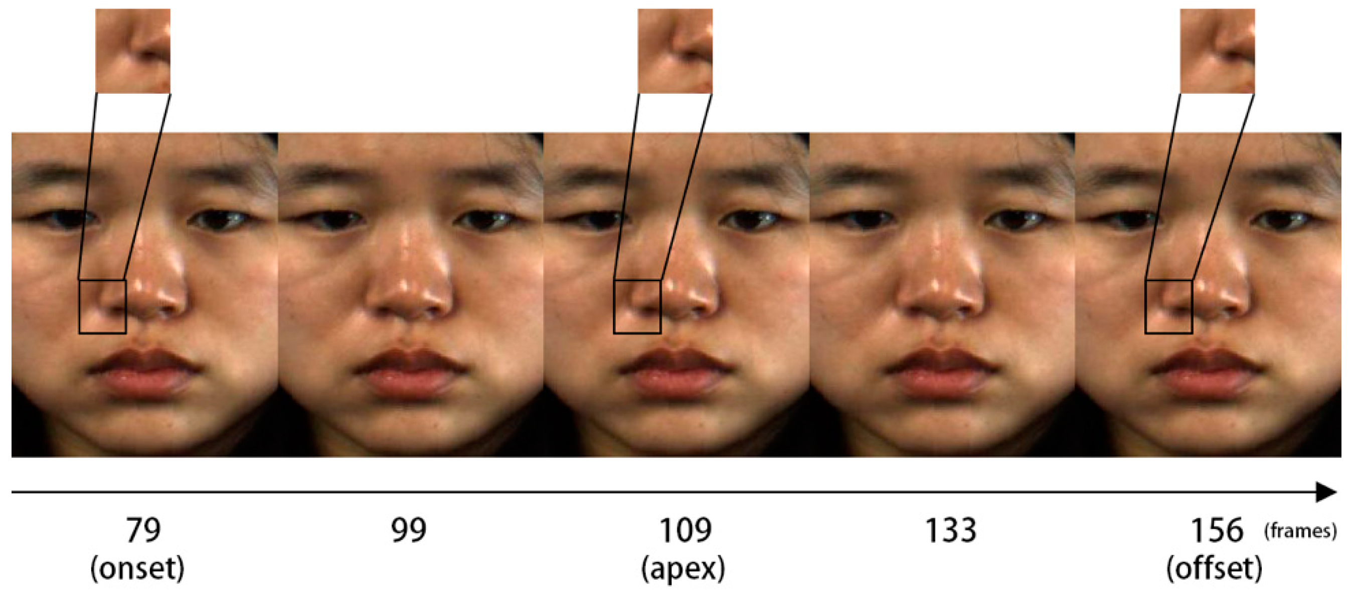 Symmetry 11 00497 g002
