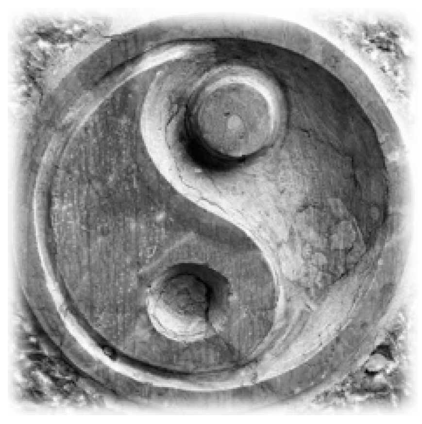 Symmetry 11 00500 g001