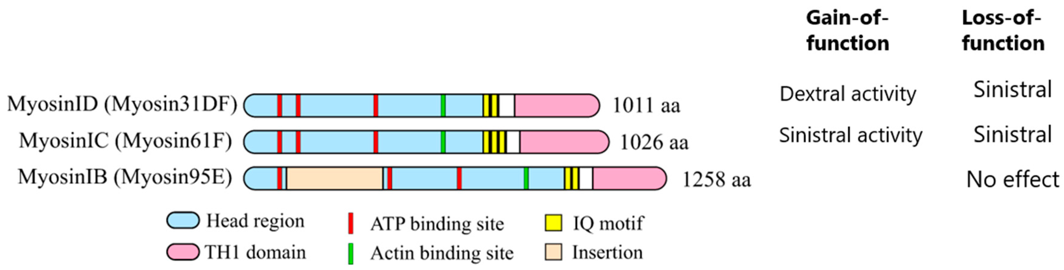 Symmetry 11 00505 g002
