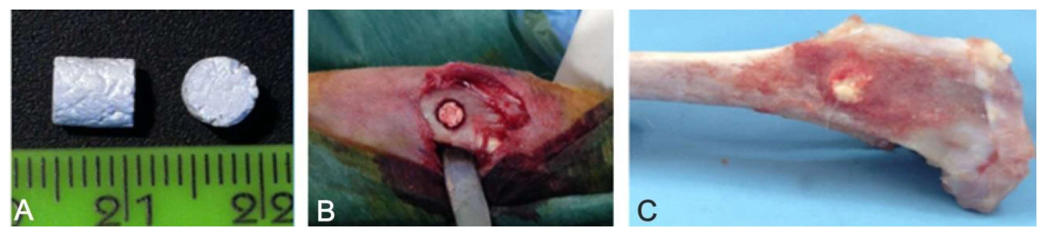 Symmetry 11 00532 g001