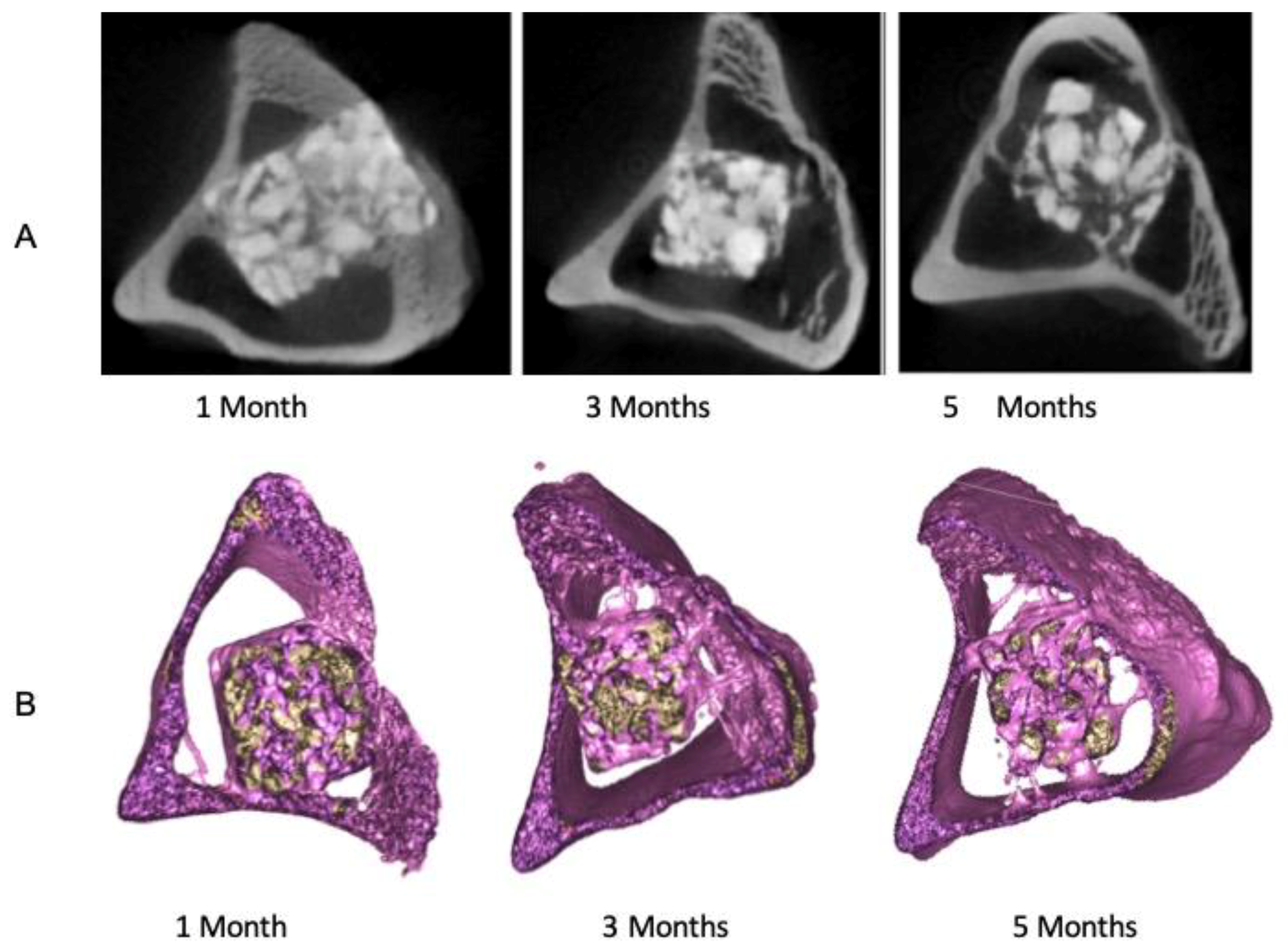 Symmetry 11 00532 g002