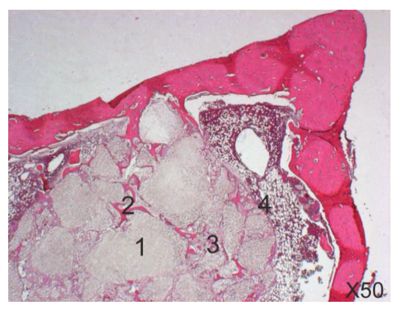 Symmetry 11 00532 g005