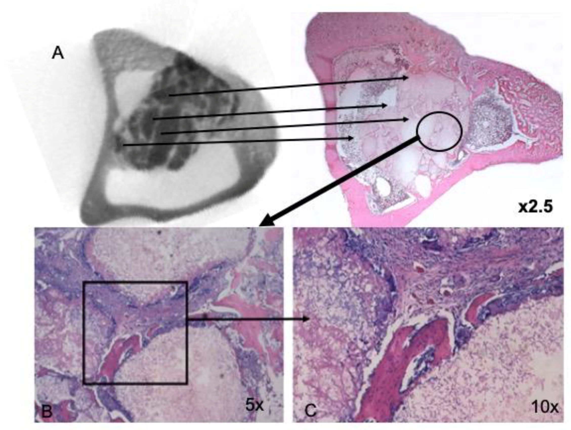 Symmetry 11 00532 g007