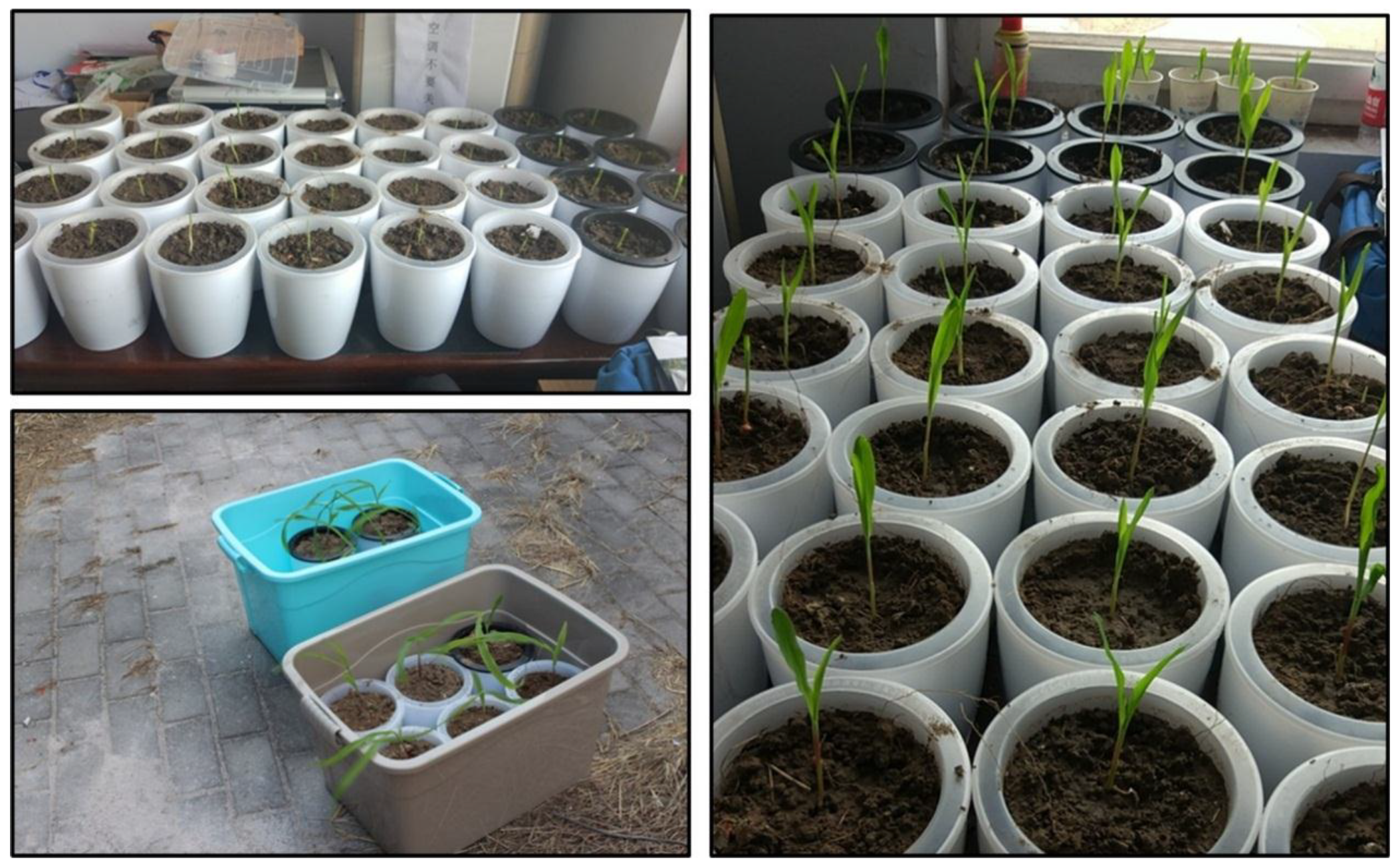 Symmetry 11 00533 g001