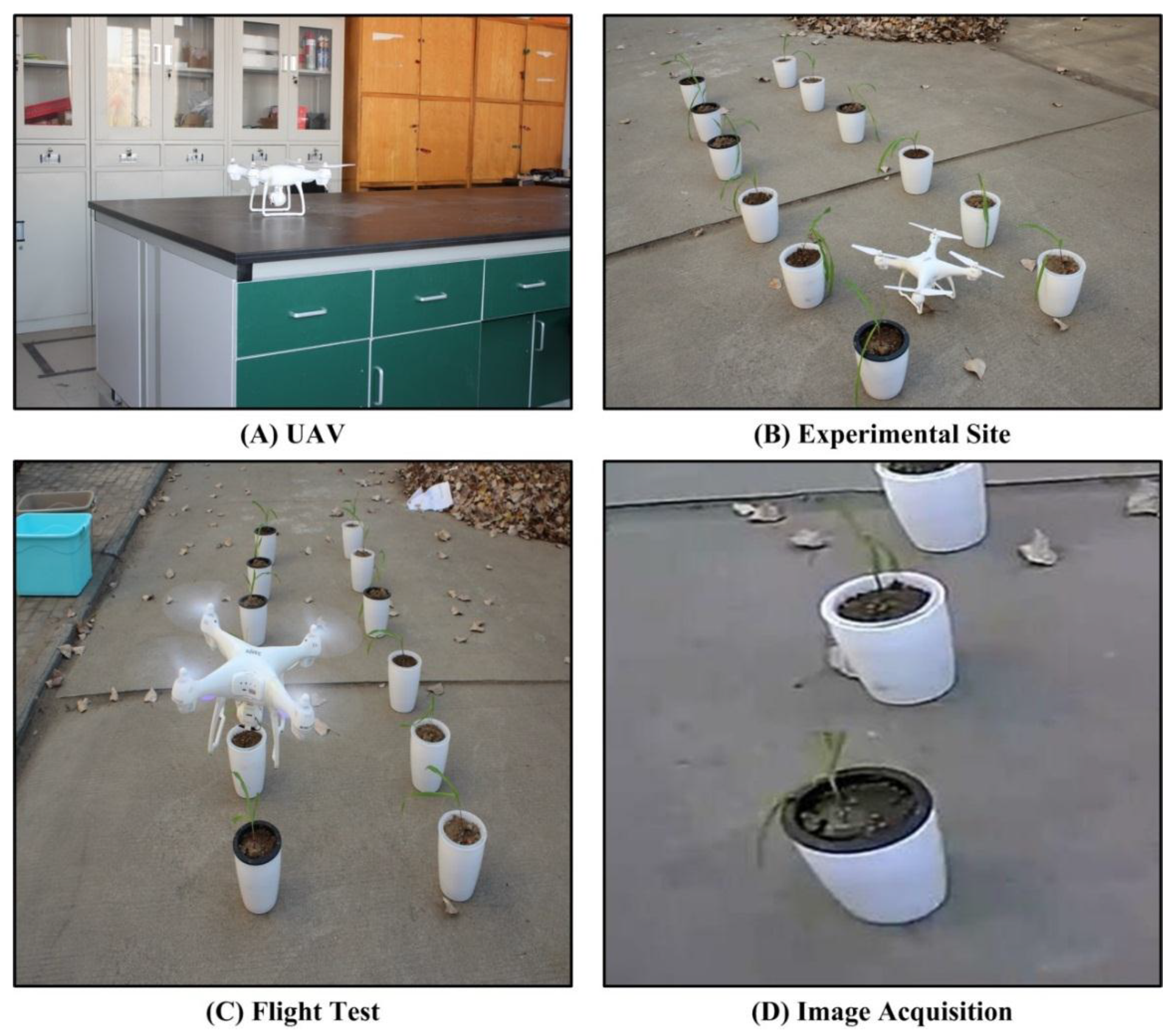 Symmetry 11 00533 g002