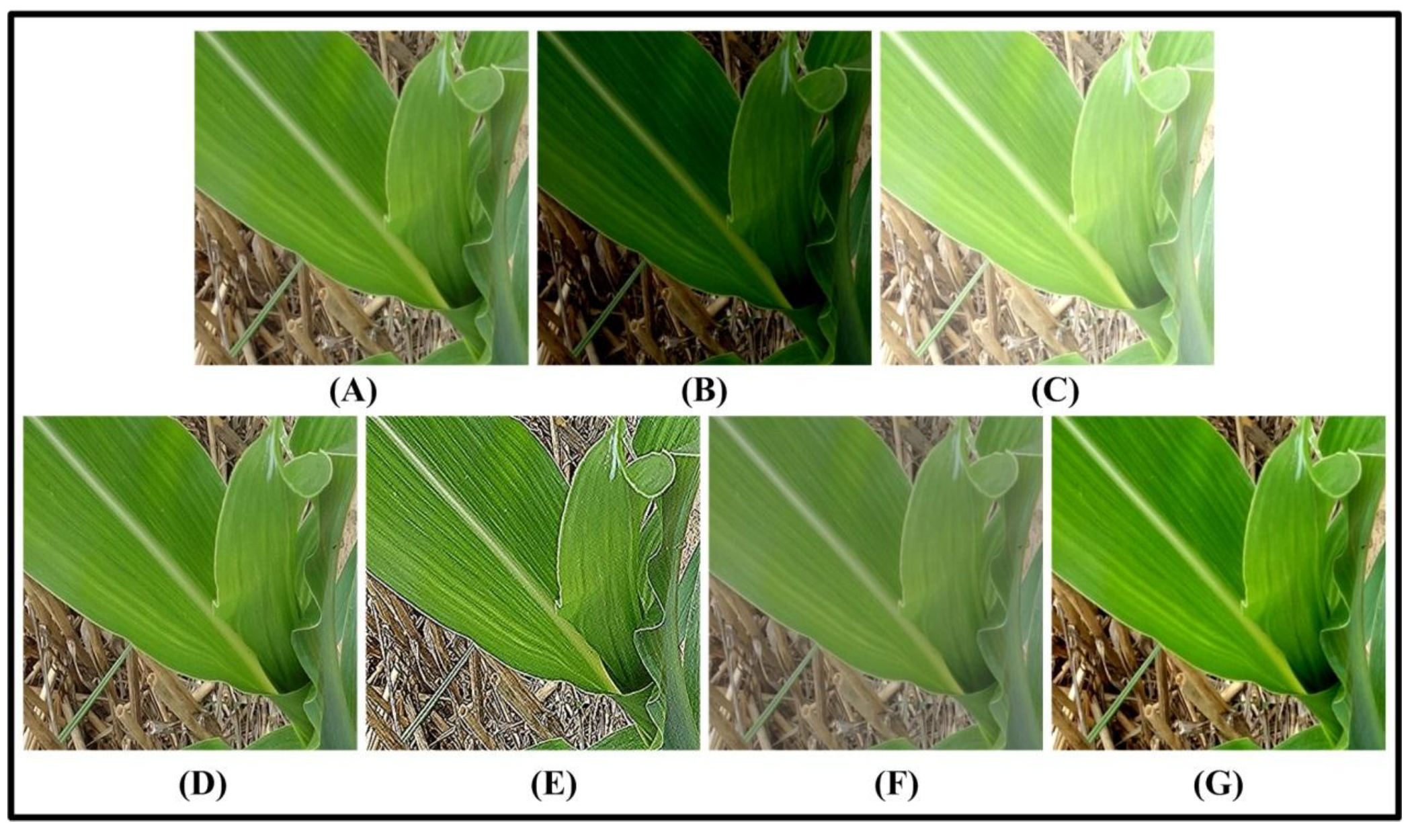 Symmetry 11 00533 g004