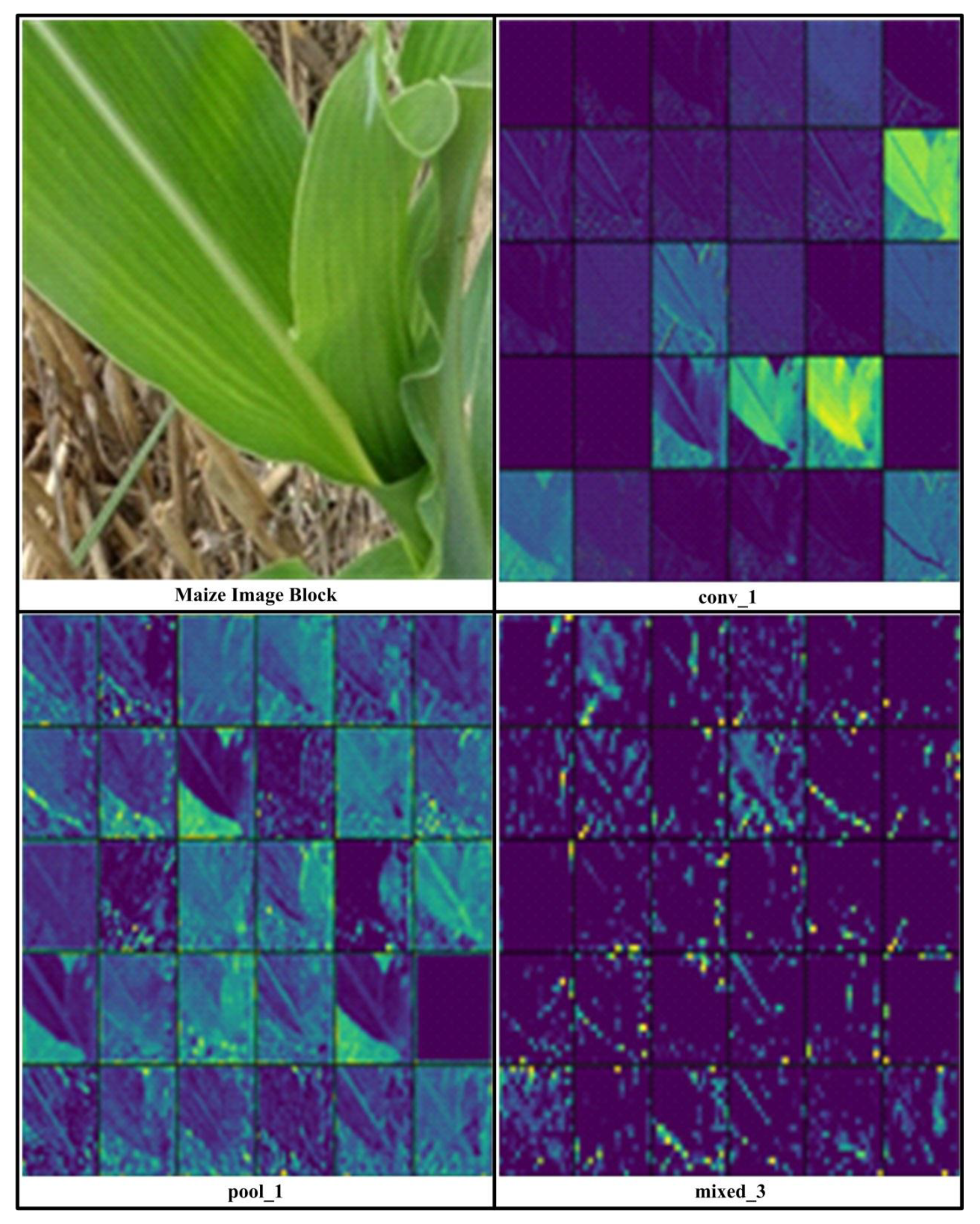Symmetry 11 00533 g006