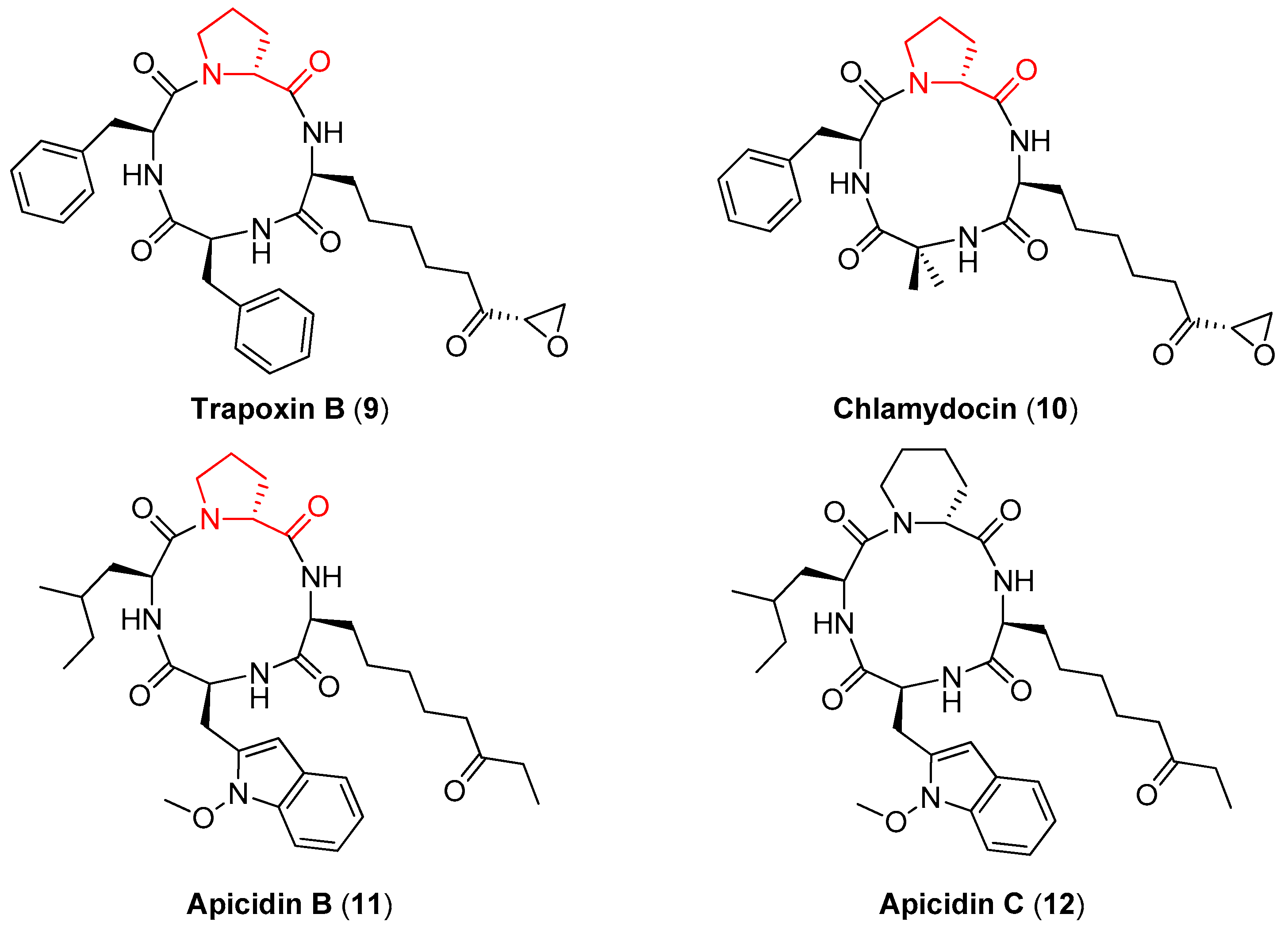 Symmetry 11 00558 g003
