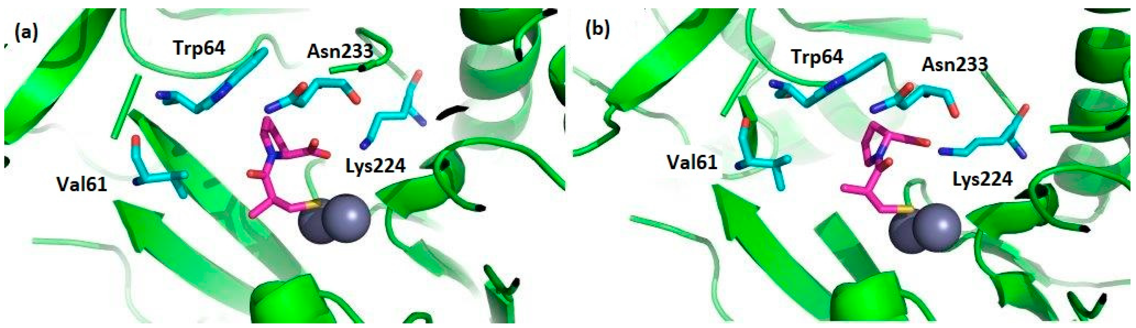 Symmetry 11 00558 g005