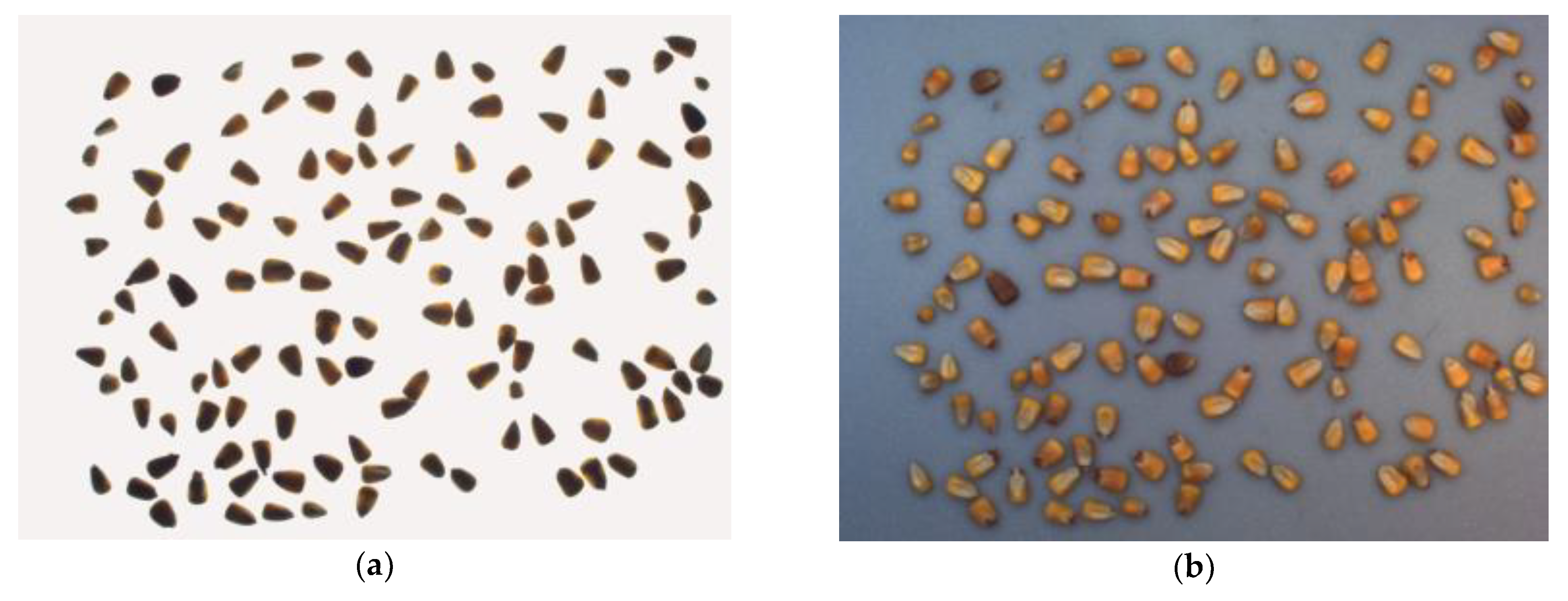 Symmetry 11 00591 g002