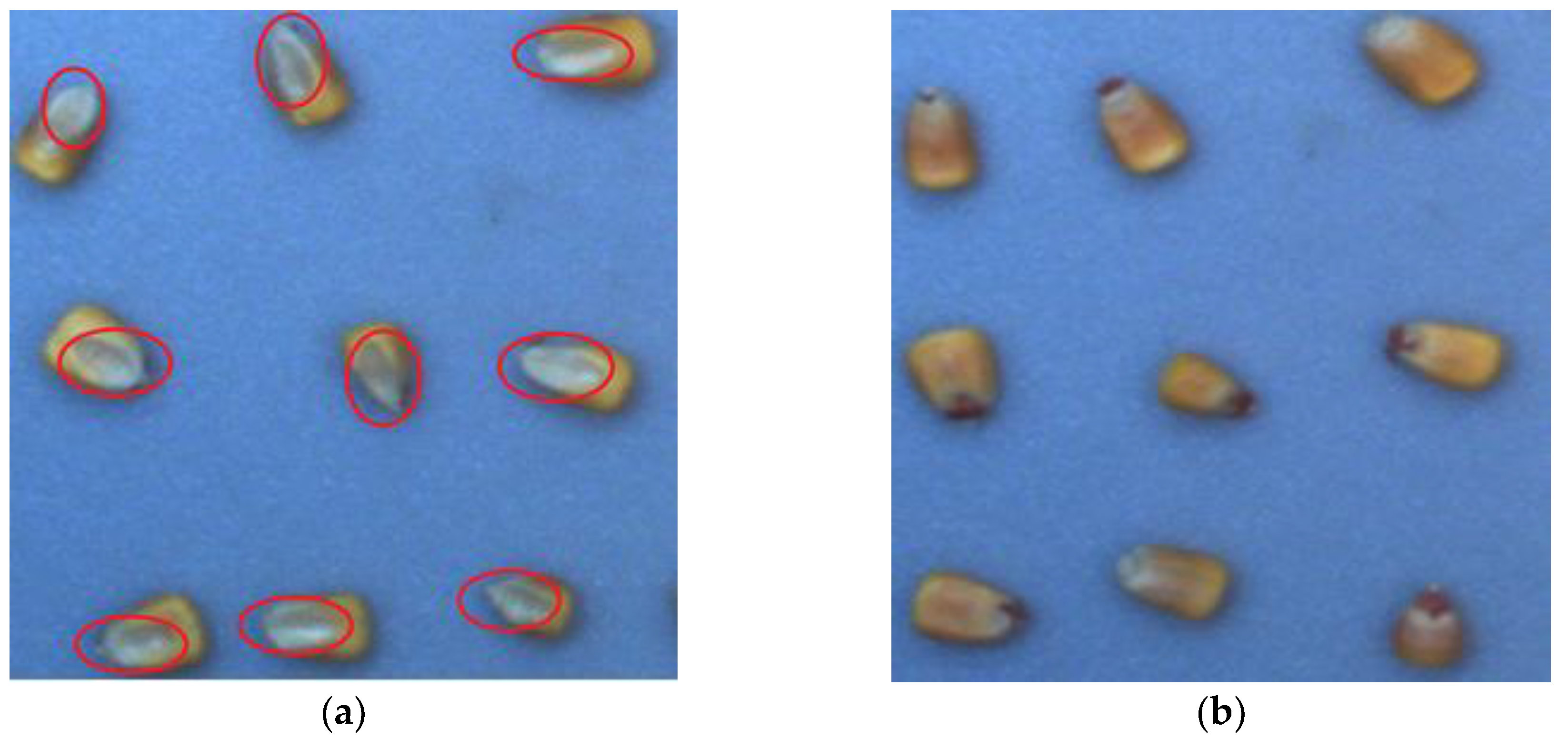 Symmetry 11 00591 g007