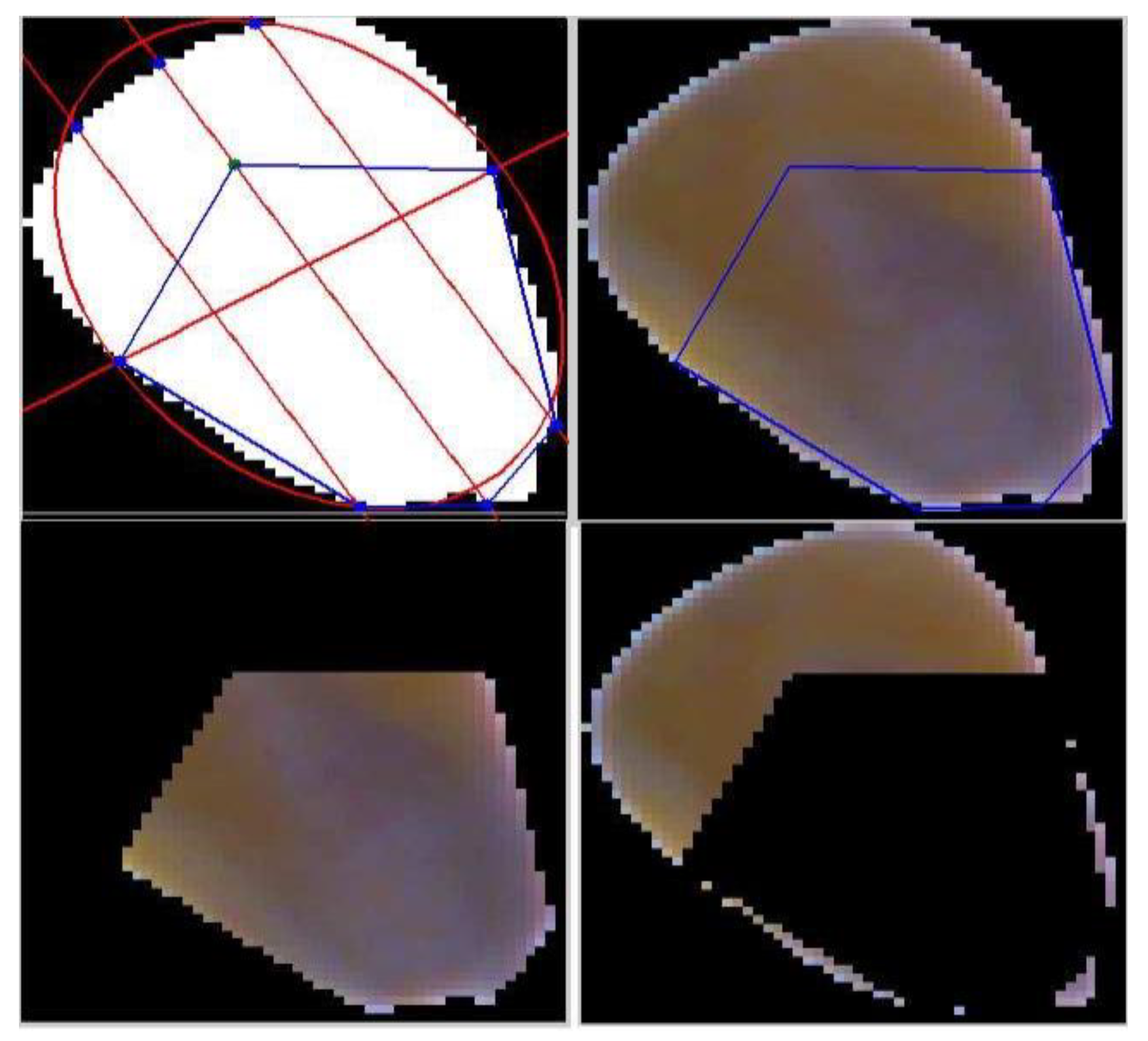 Symmetry 11 00591 g008