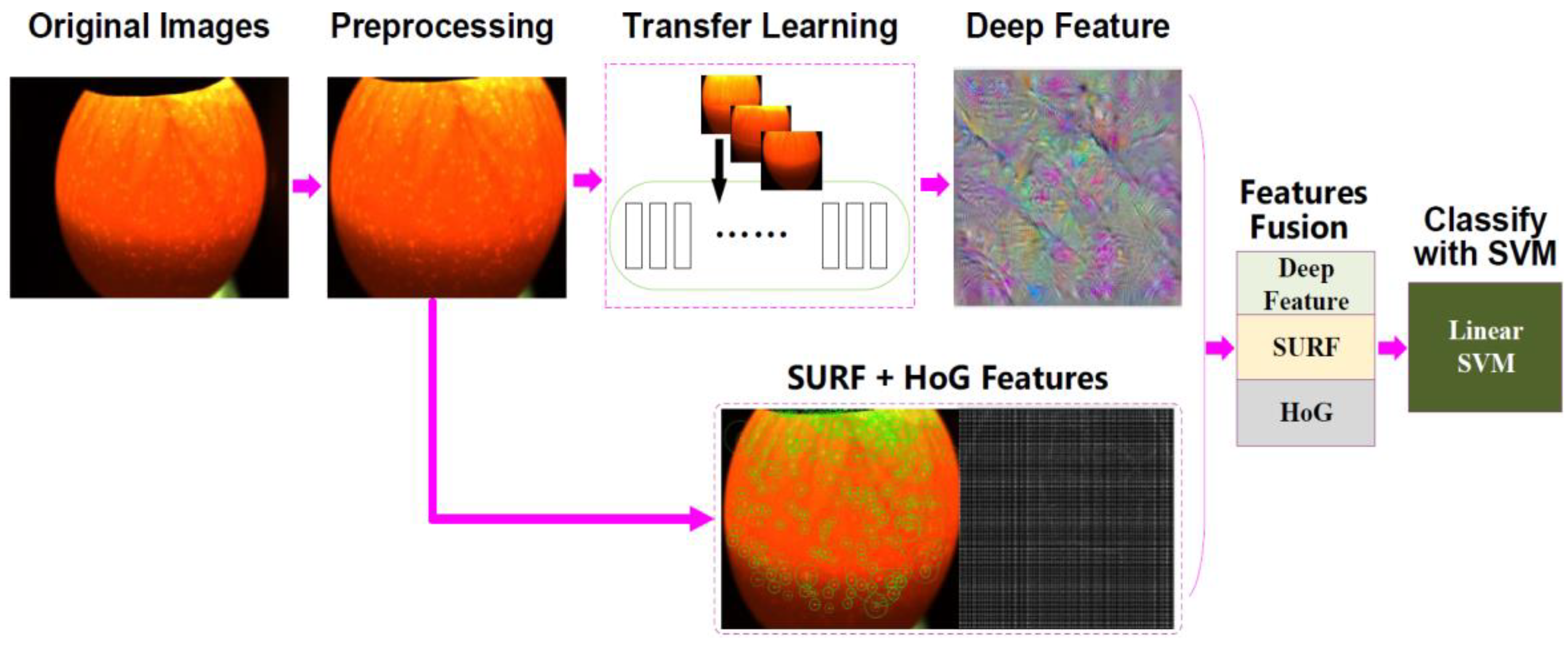 Symmetry 11 00606 g002