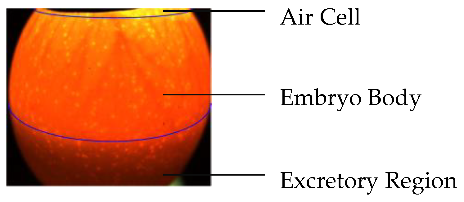 Symmetry 11 00606 g003