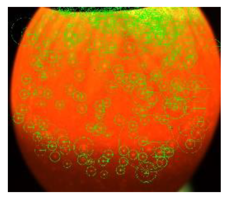 Symmetry 11 00606 g008