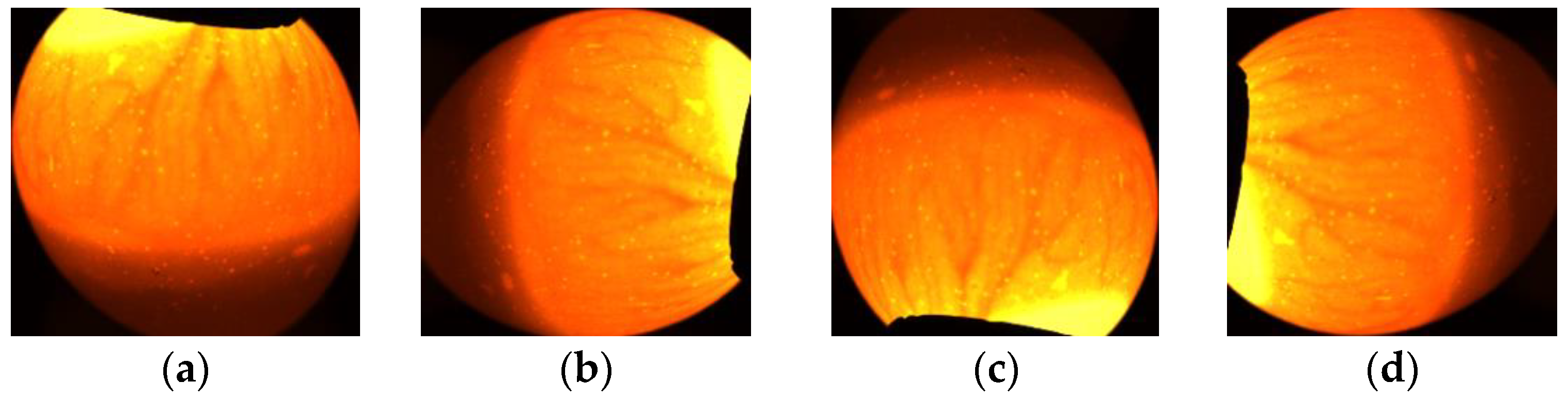 Symmetry 11 00606 g010a