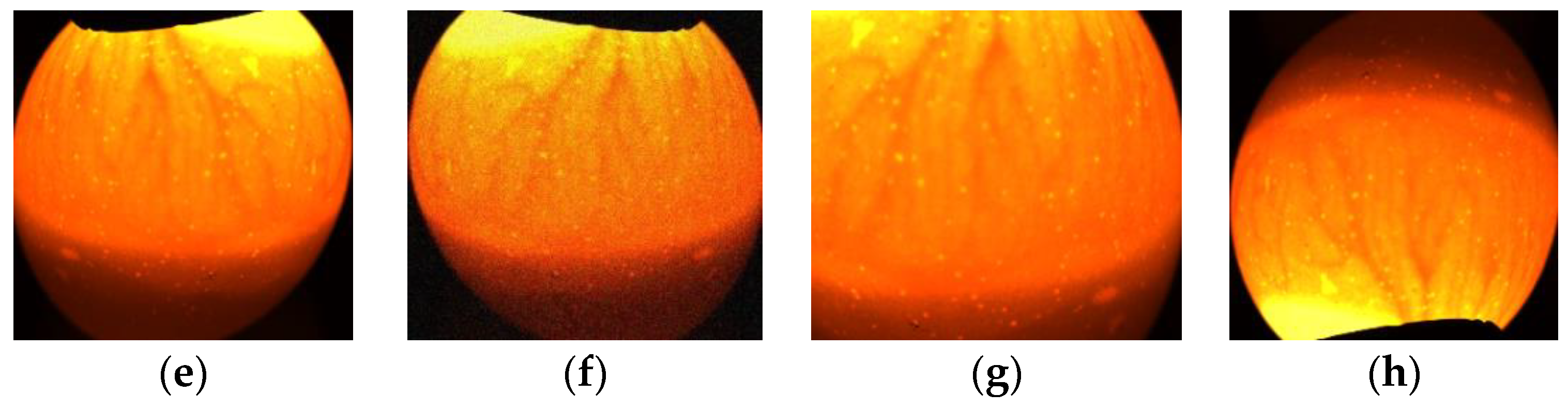 Symmetry 11 00606 g010b