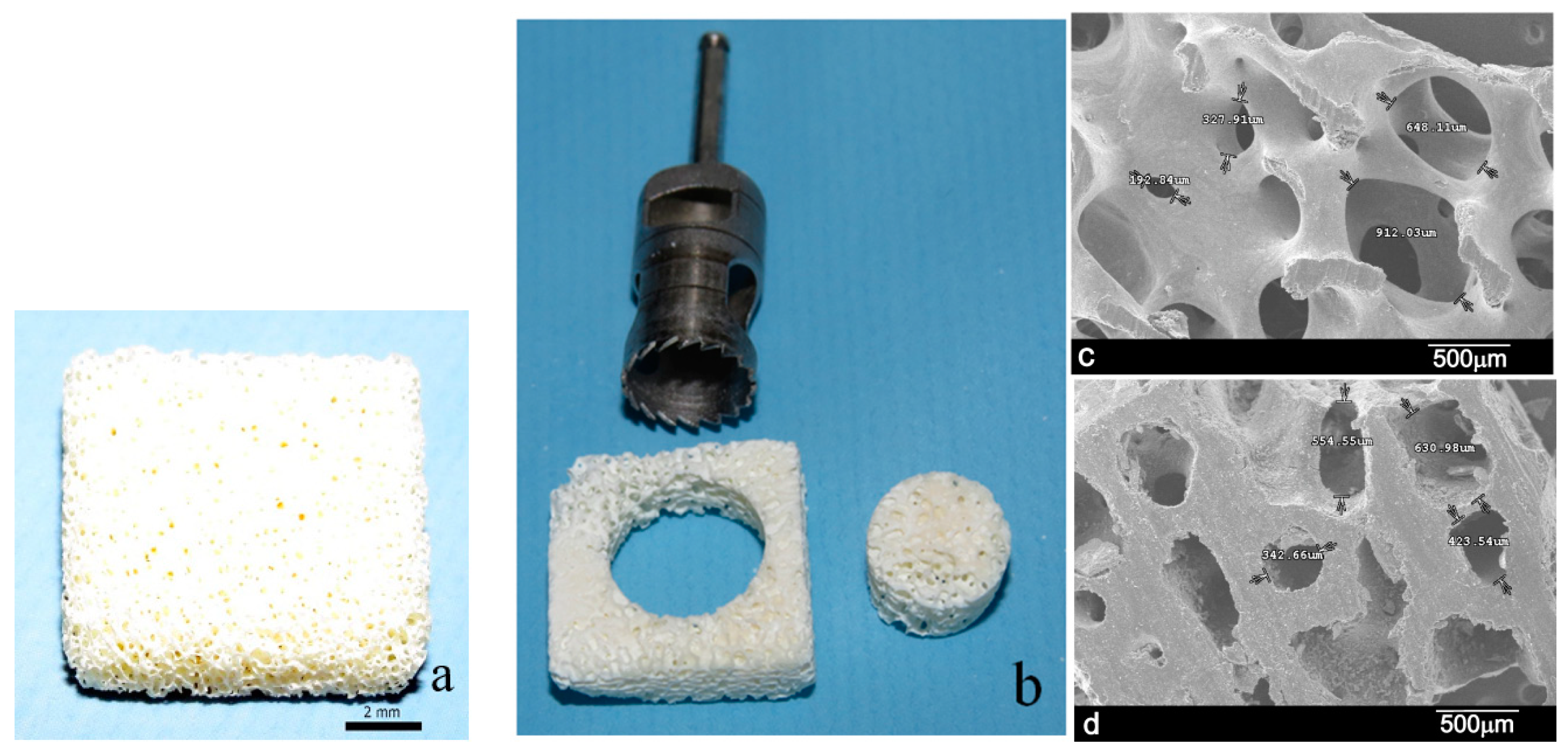 Symmetry 11 00641 g001