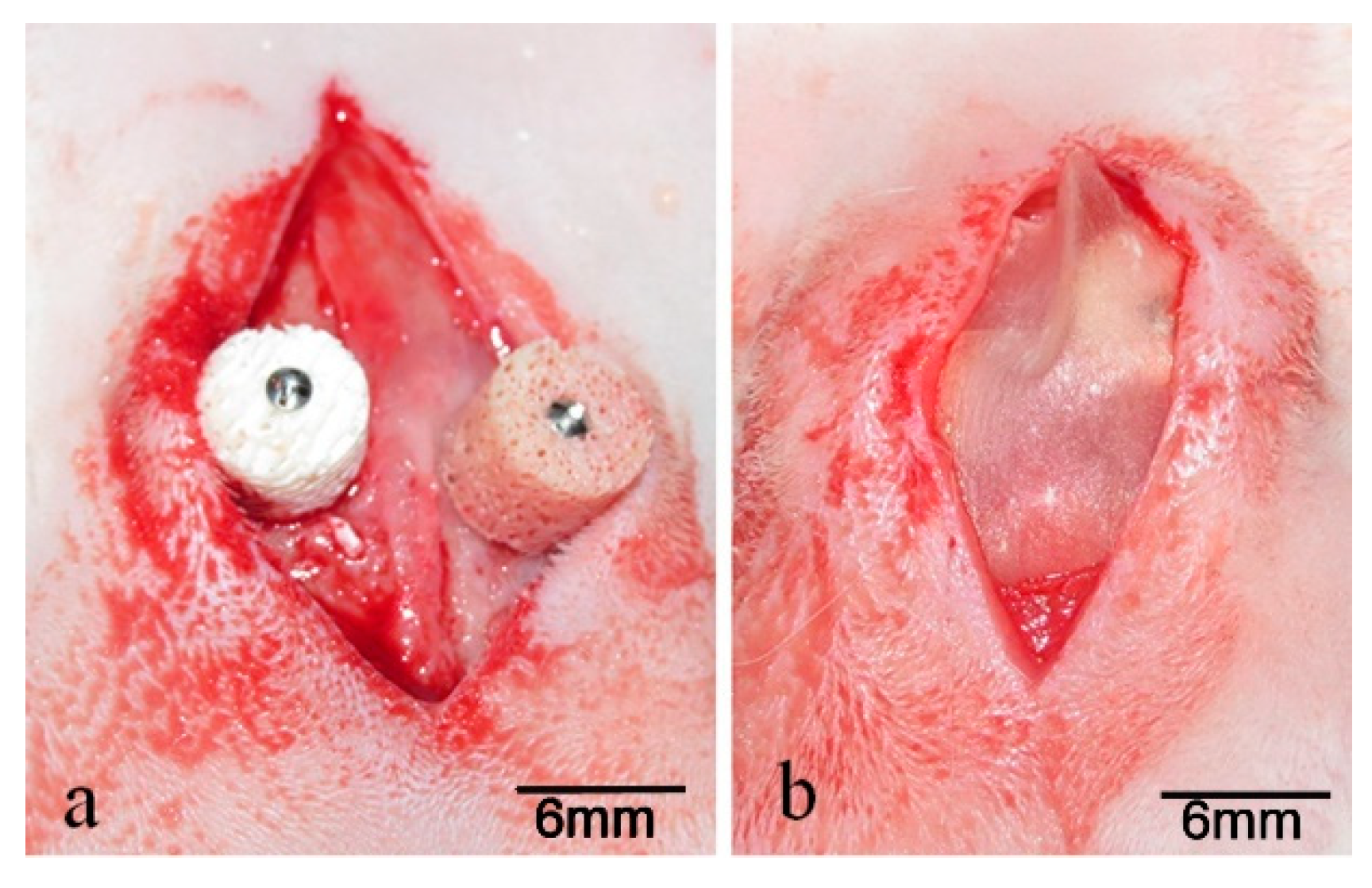 Symmetry 11 00641 g003