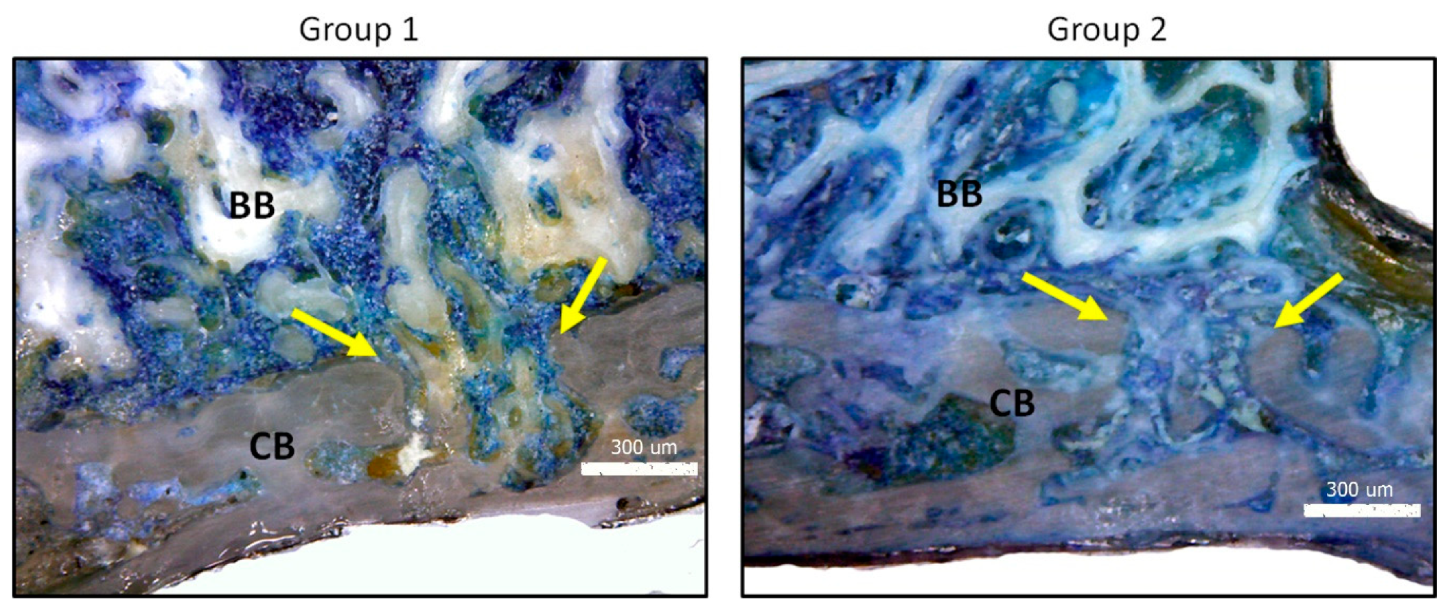 Symmetry 11 00641 g006