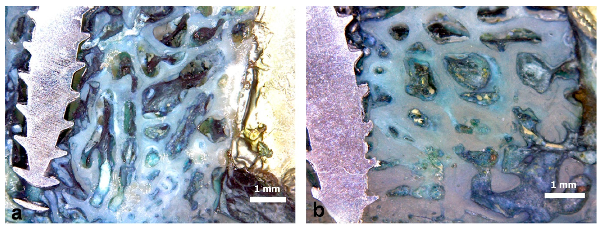Symmetry 11 00641 g008