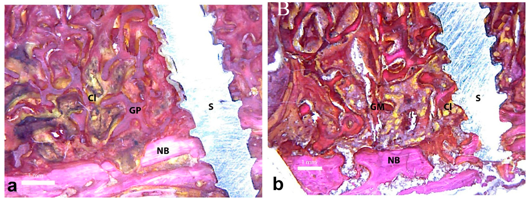 Symmetry 11 00641 g009