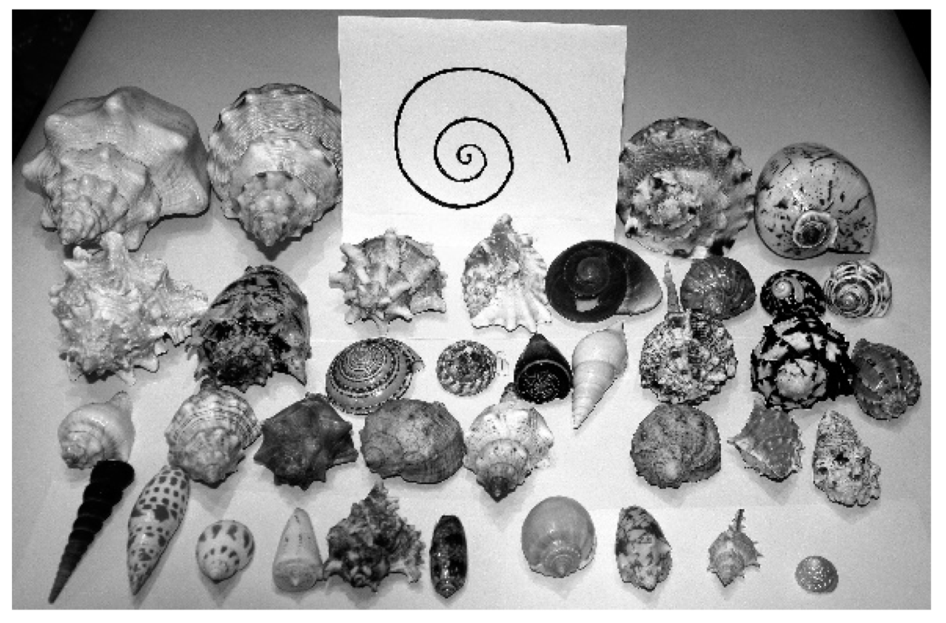 Symmetry 11 00649 g005