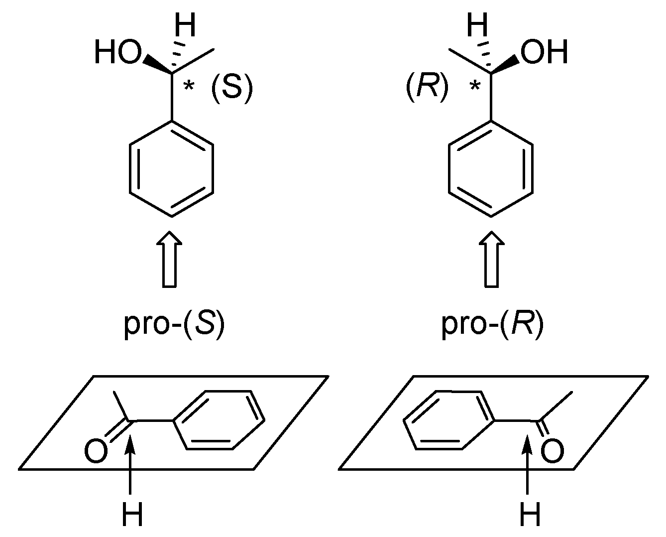 Symmetry 11 00649 g010