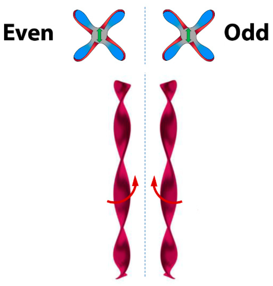 Symmetry 11 00649 g020