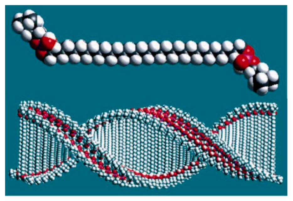 Symmetry 11 00649 g023