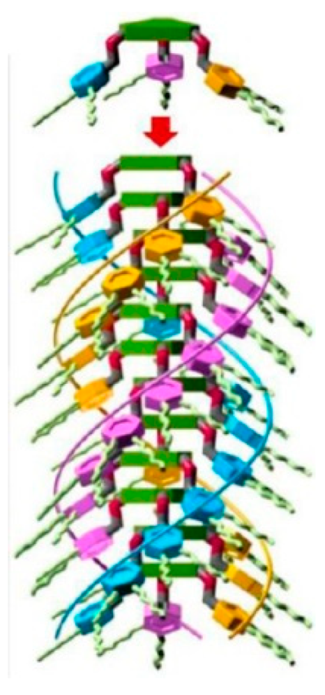 Symmetry 11 00649 g024b