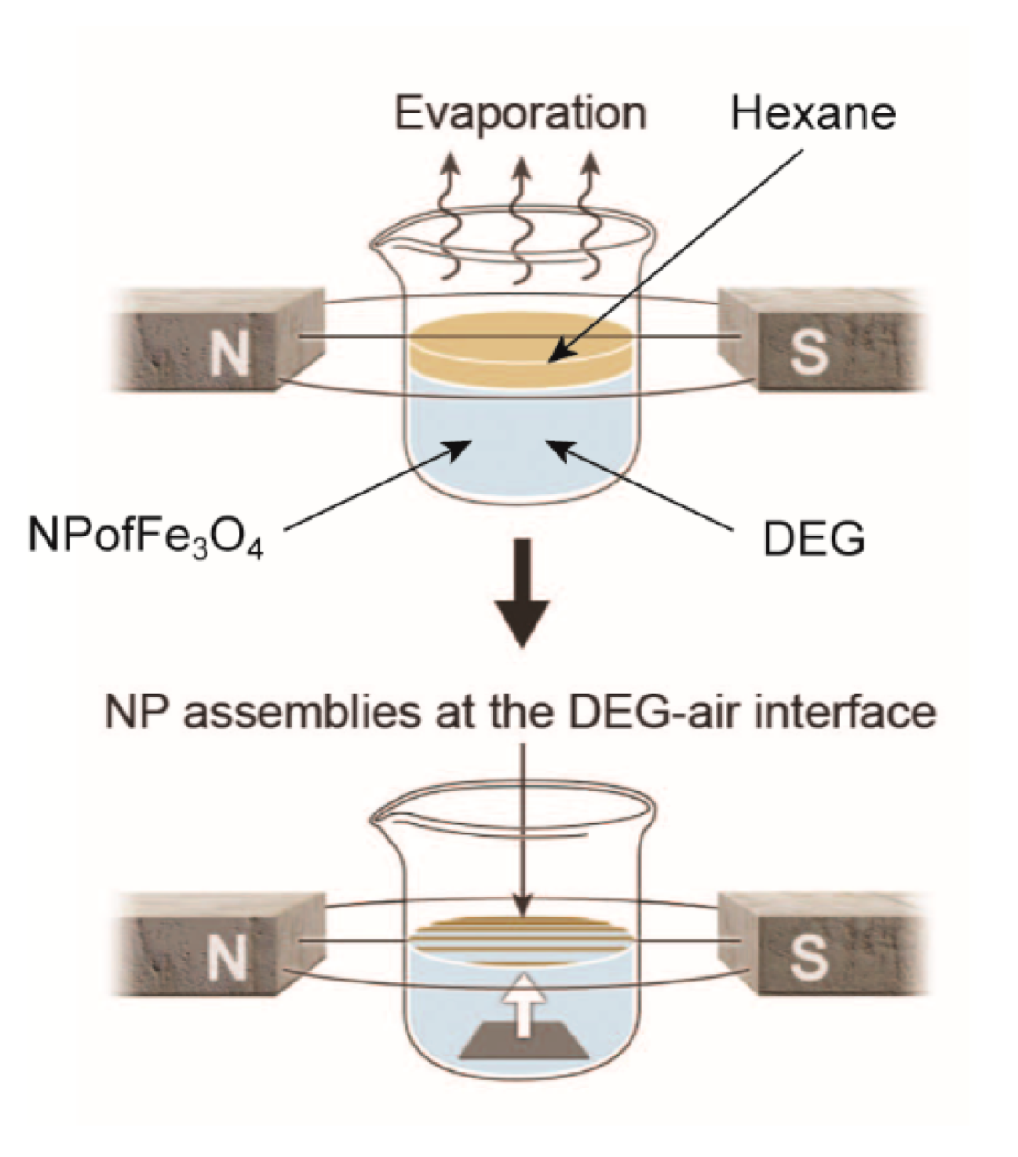 Symmetry 11 00649 g025