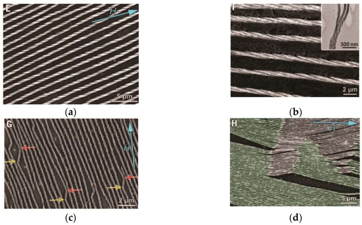 Symmetry 11 00649 g027