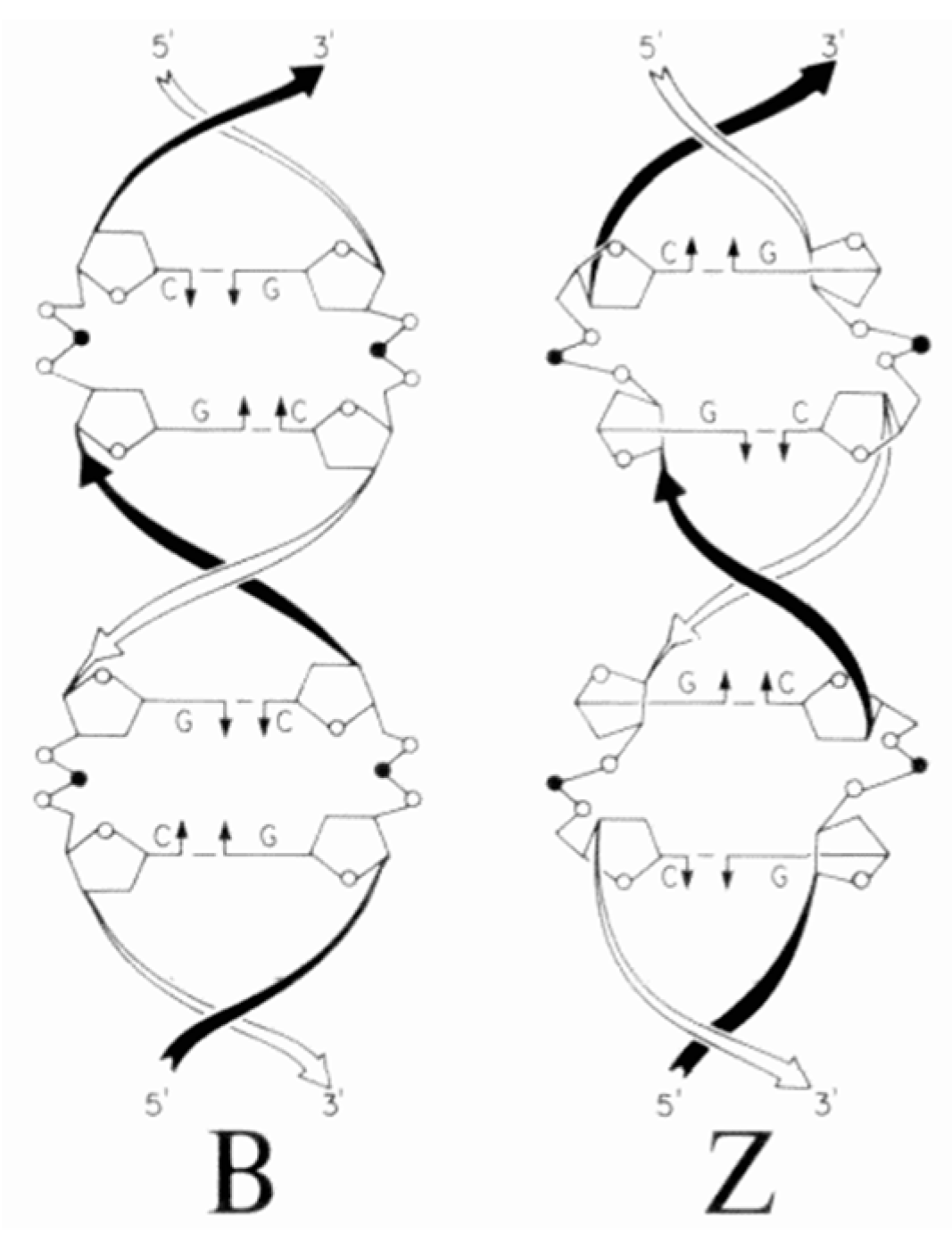 Symmetry 11 00649 g033