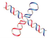 Symmetry 11 00649 i042