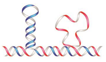 Symmetry 11 00649 i043