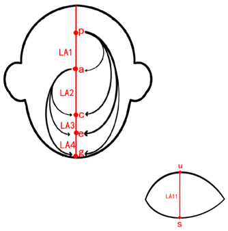 Symmetry 11 00664 i001