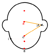 Symmetry 11 00664 i005