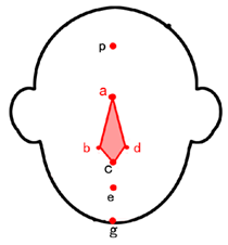 Symmetry 11 00664 i016