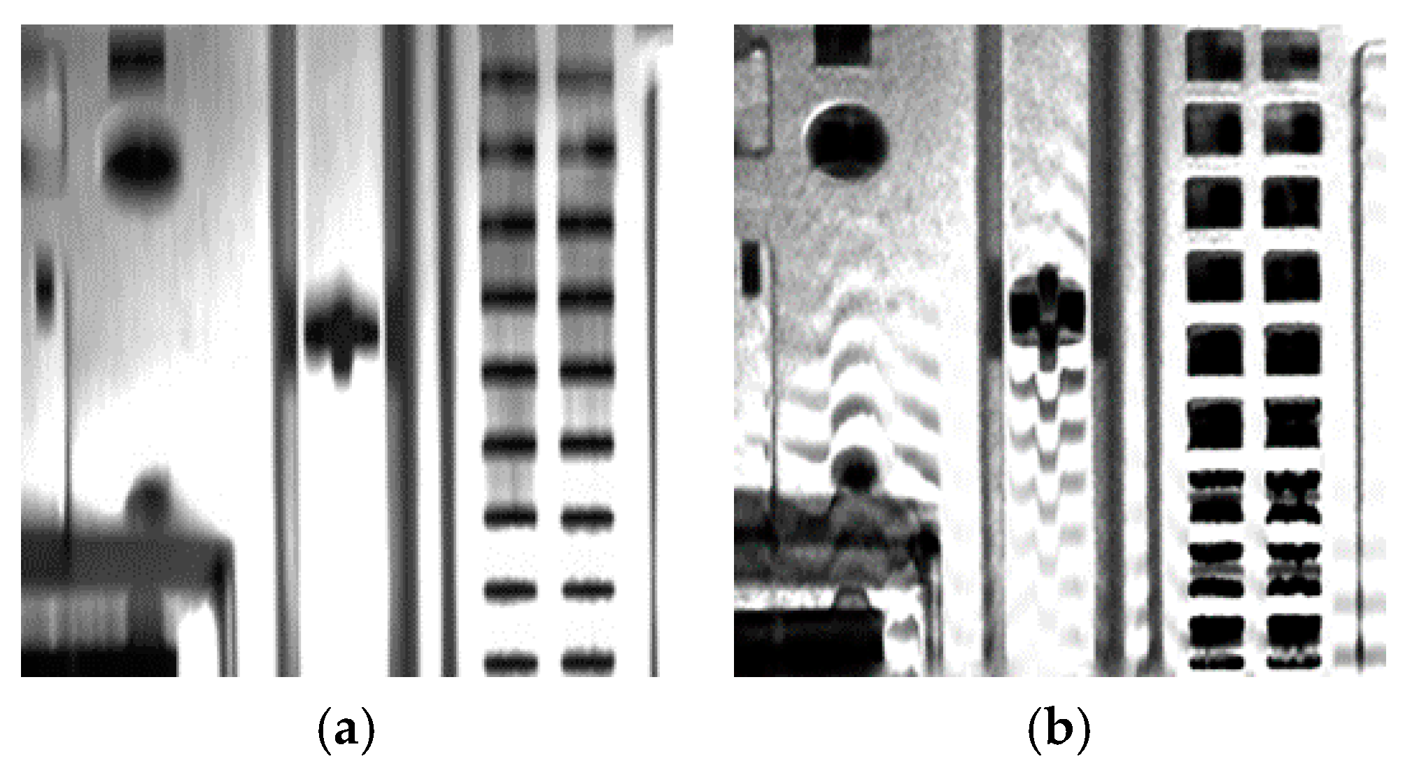 Symmetry 11 00678 g004