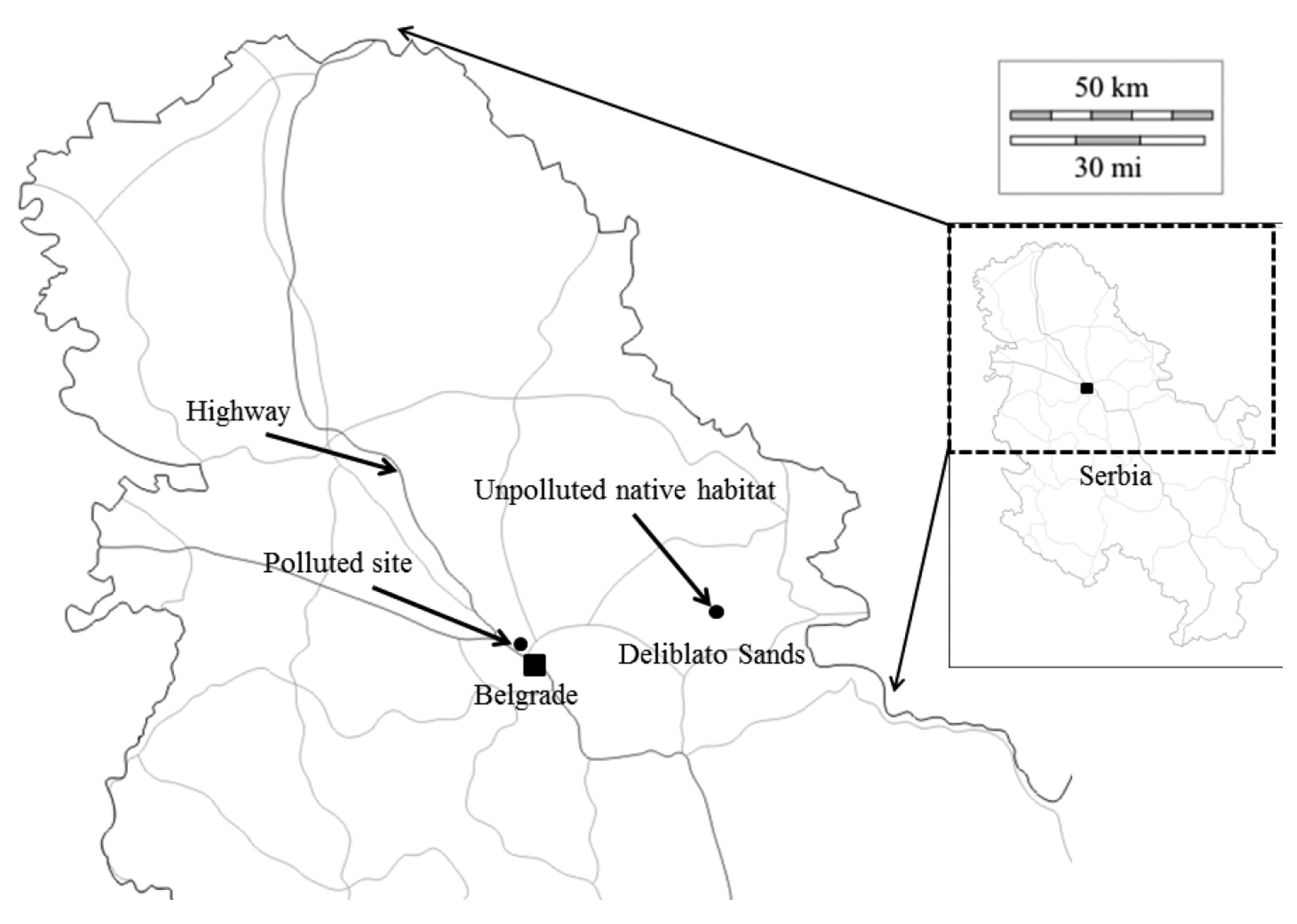 Symmetry 11 00818 g002 Symmetry 11 00818 g002