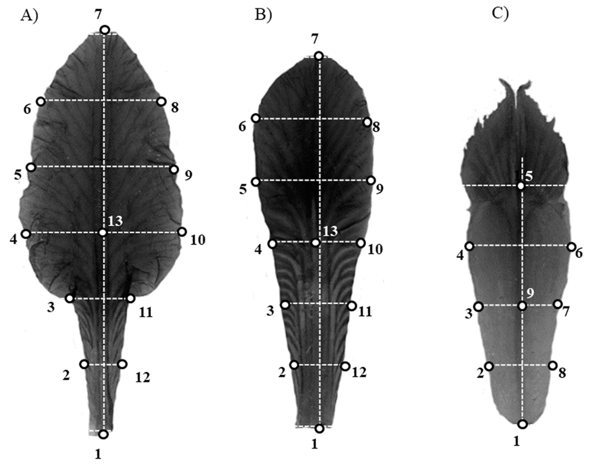 Symmetry 11 00818 g003 Symmetry 11 00818 g003