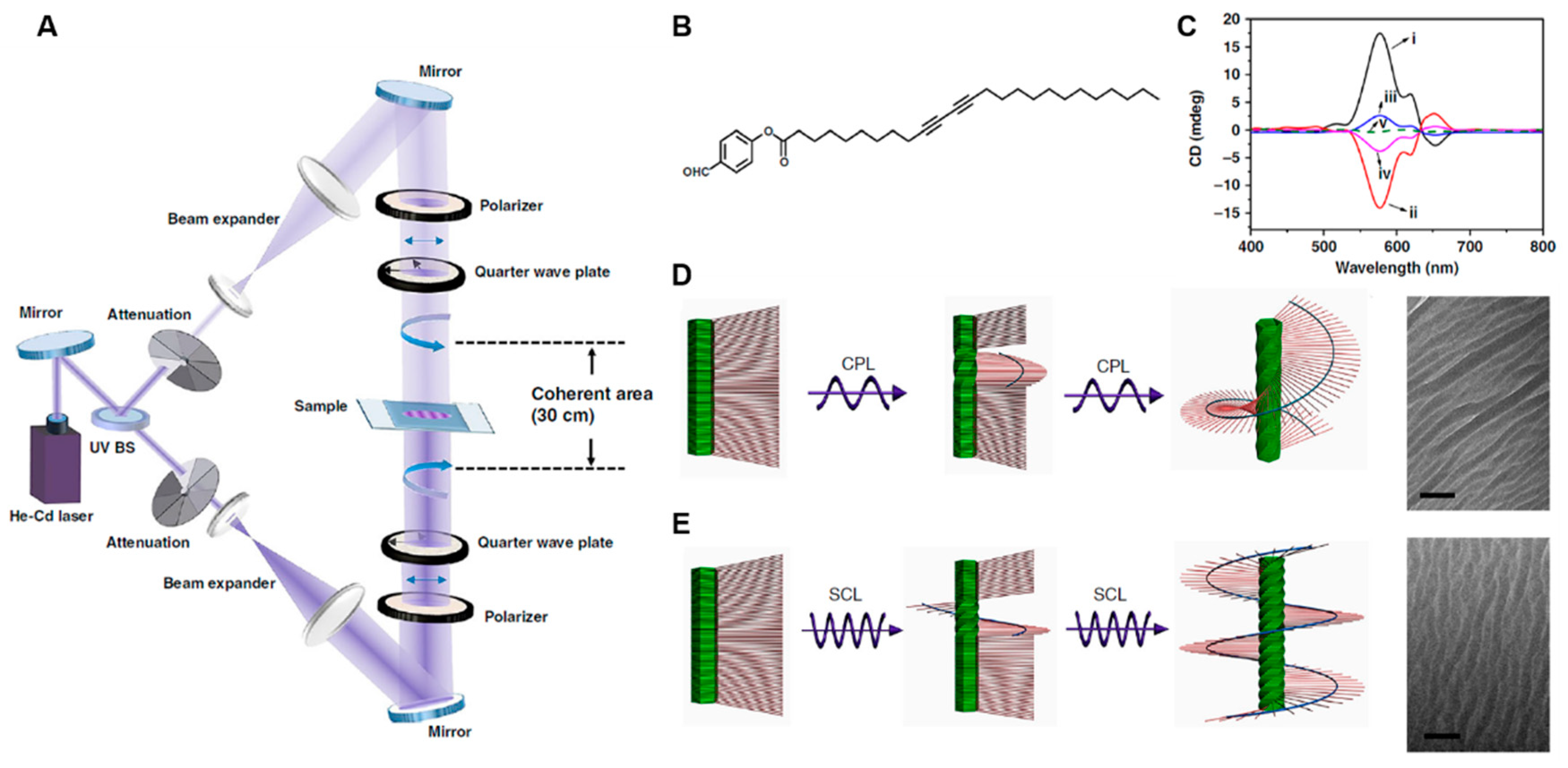 Symmetry 11 00950 g005