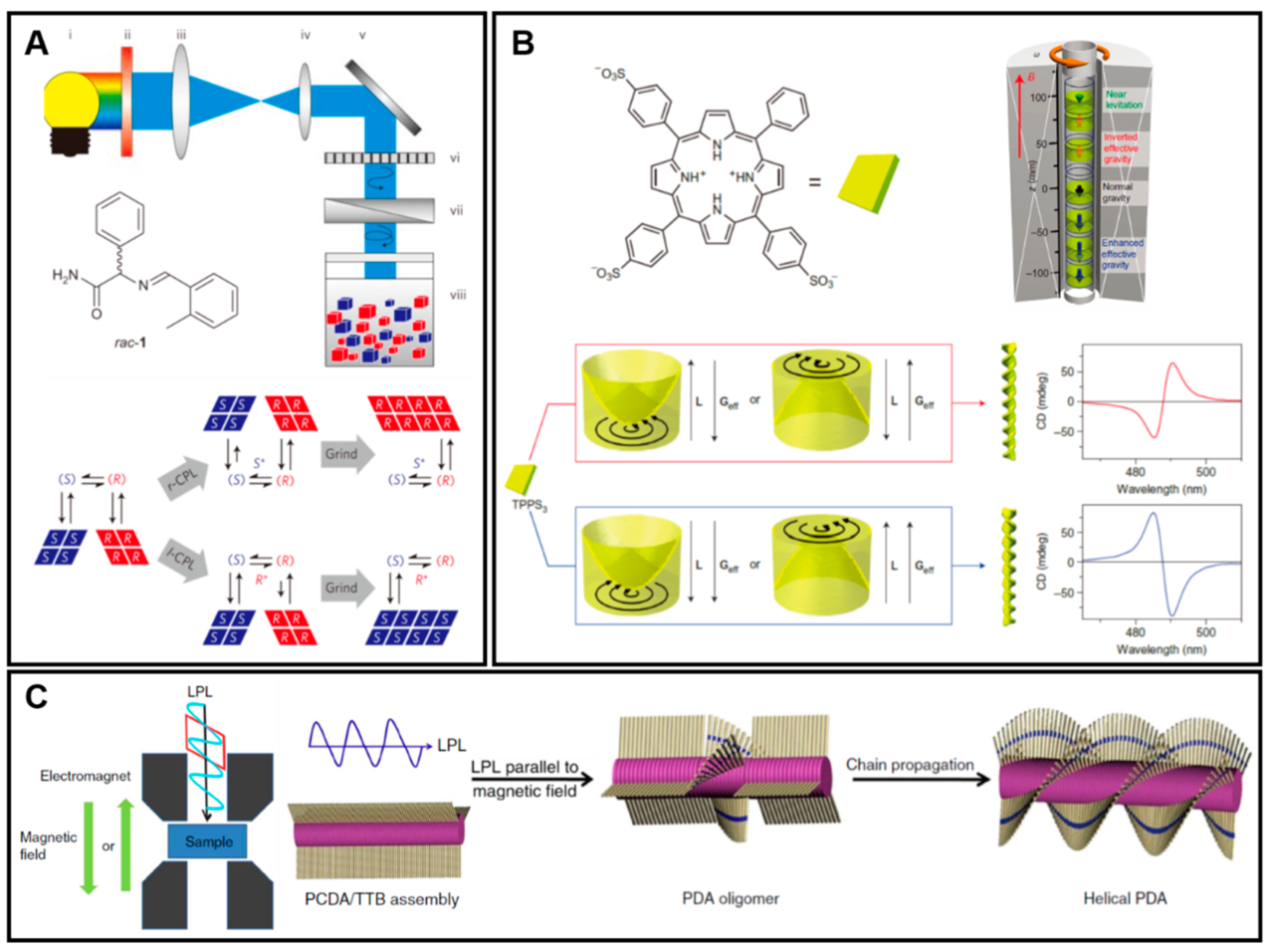 Symmetry 11 00950 g006