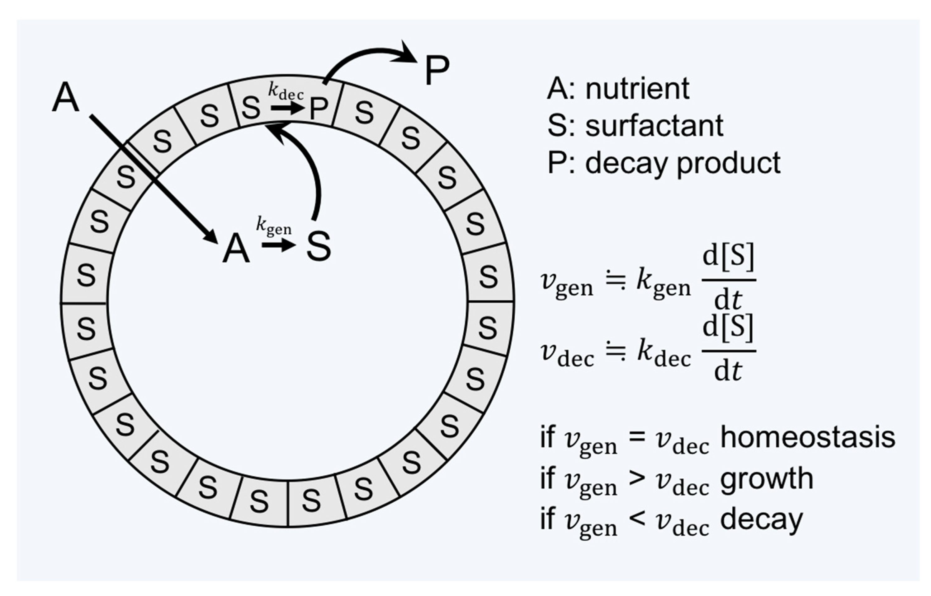 Symmetry 11 00966 g003