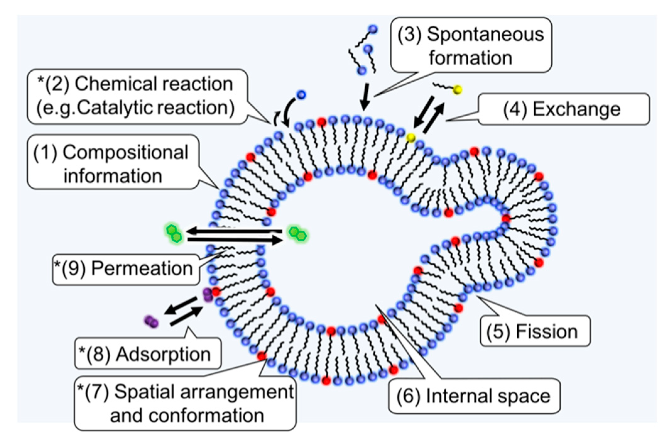 Symmetry 11 00966 g004