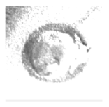 Symmetry 11 00990 i013 Symmetry 11 00990 i013