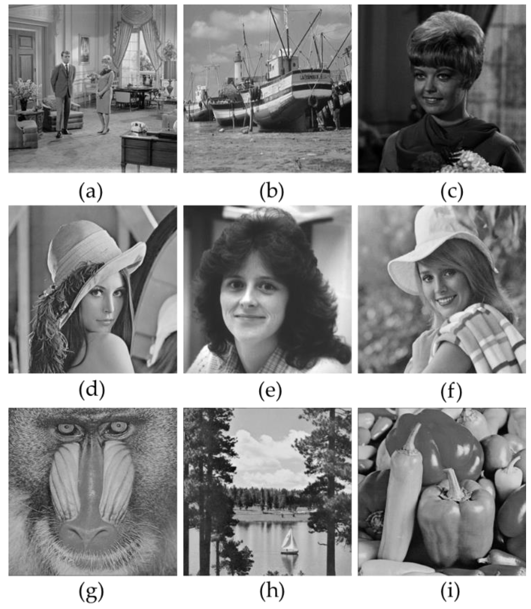 Symmetry 11 00996 g006